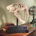 Design Toscano Saber-toothed Tiger Skull Artifact NE100501